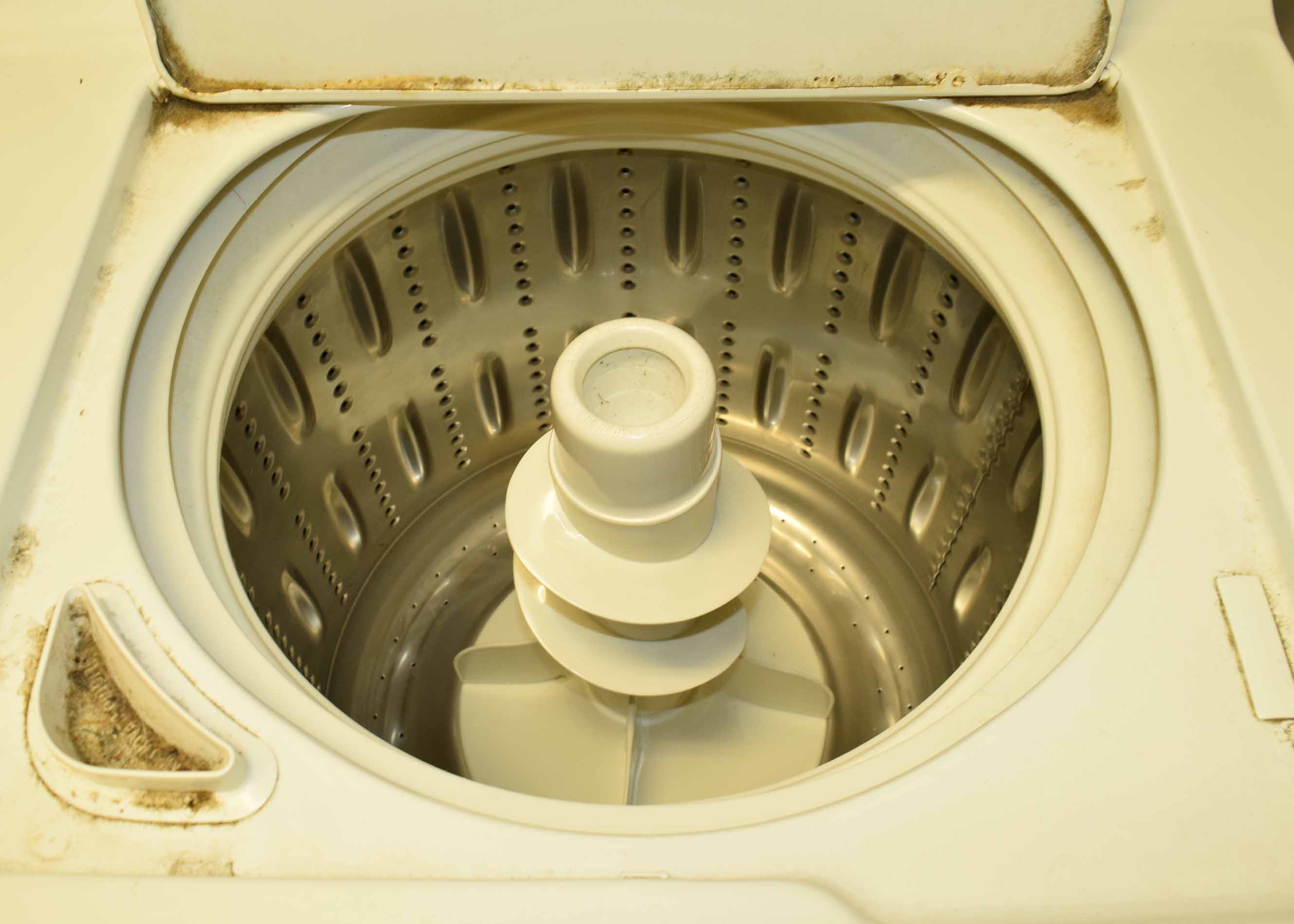 GE Profile Washing Machine EBTH