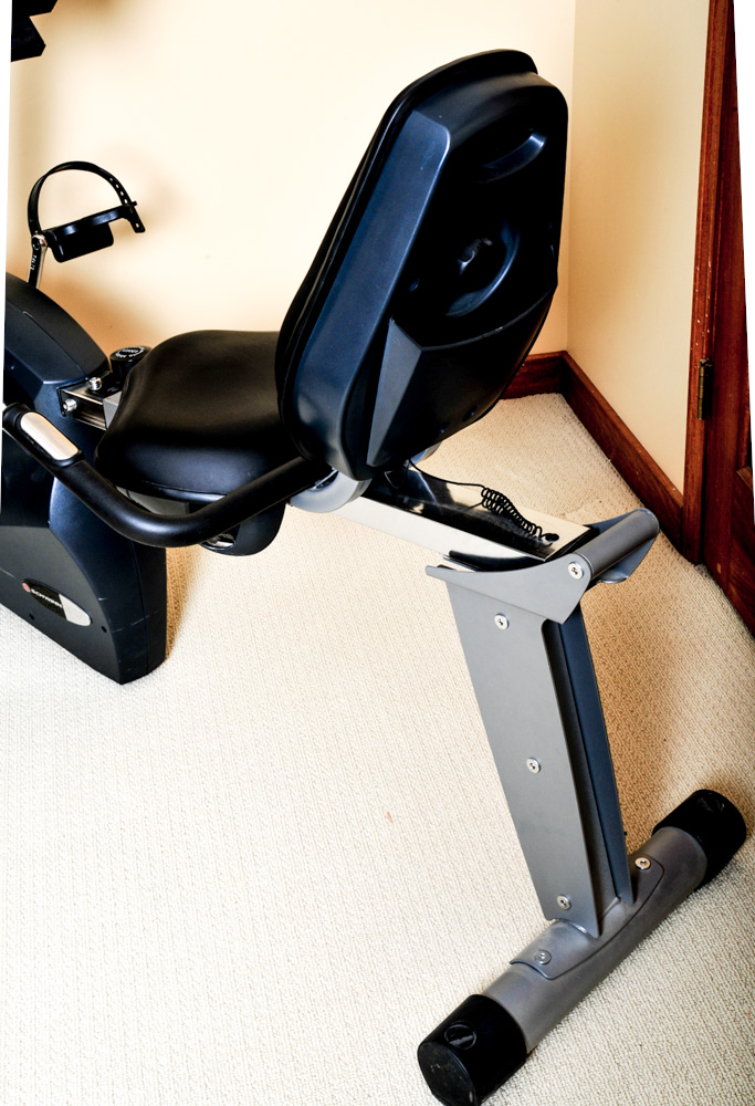 Schwinn 213 Recumbent Fitness Bike EBTH