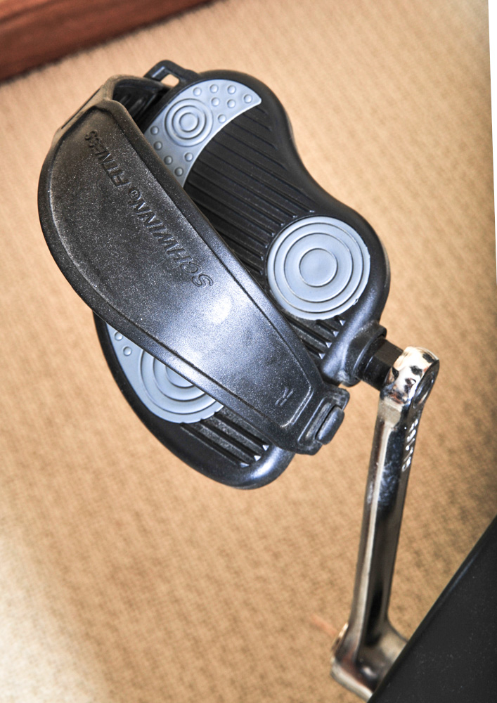 Schwinn 213 Recumbent Fitness Bike EBTH