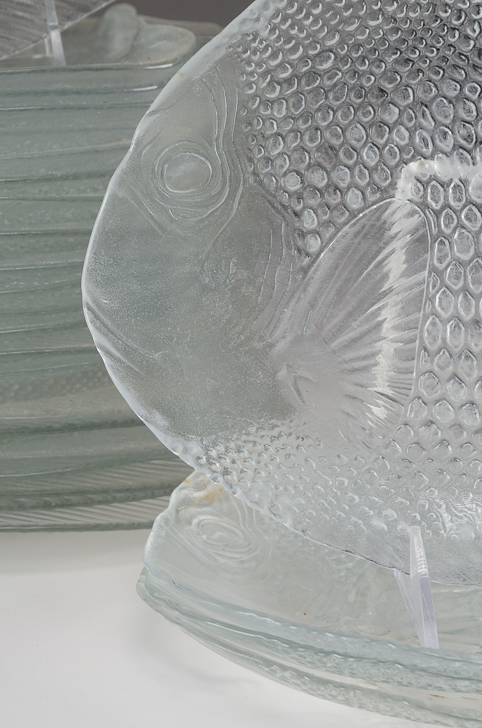 Clear Fish Plates EBTH