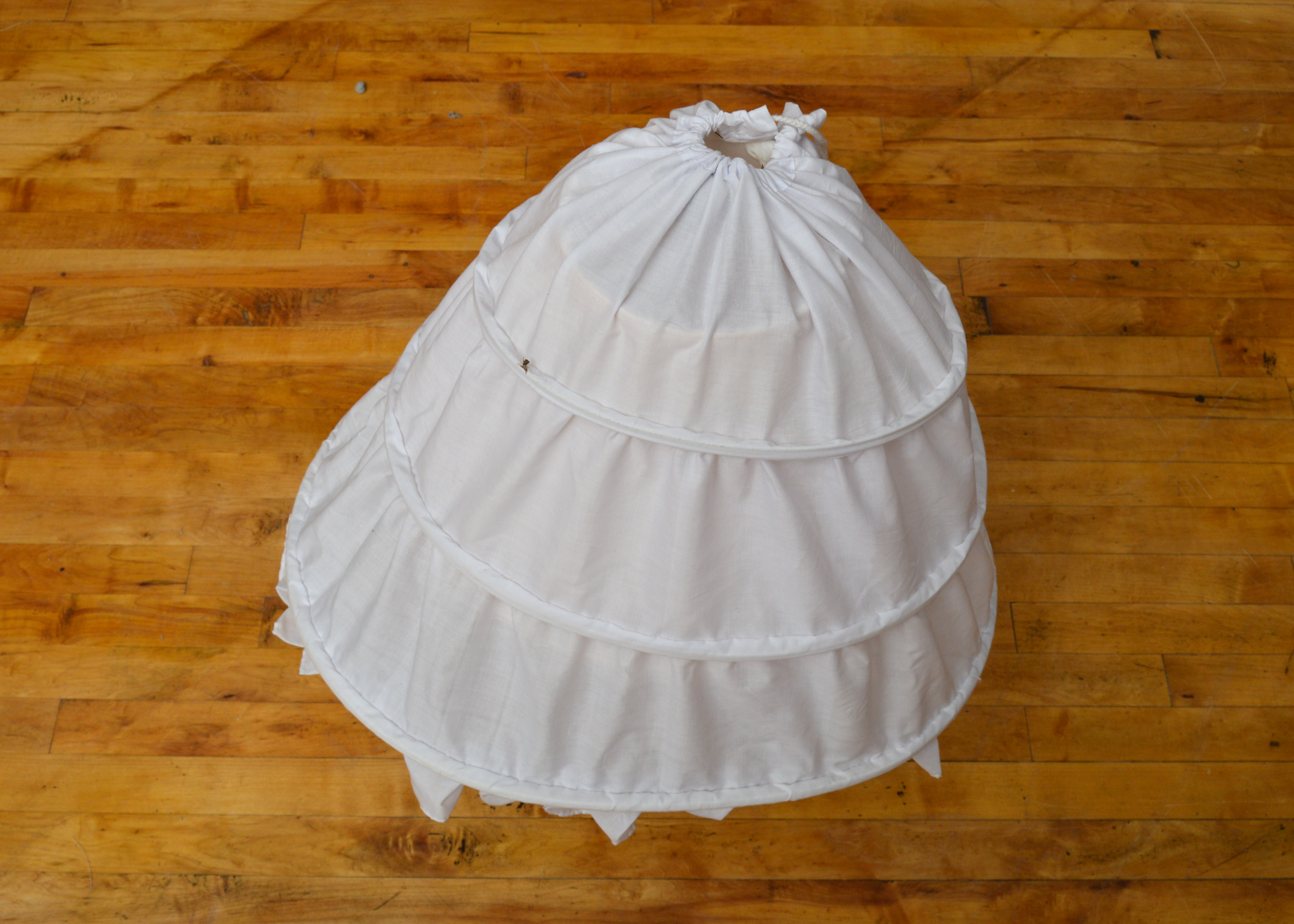 Collection of Hoop Skirts EBTH