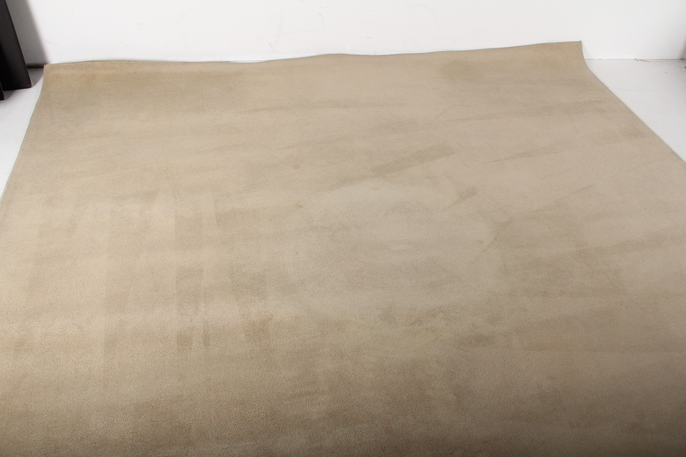 Machine Knotted Cream Colored Area Rug EBTH