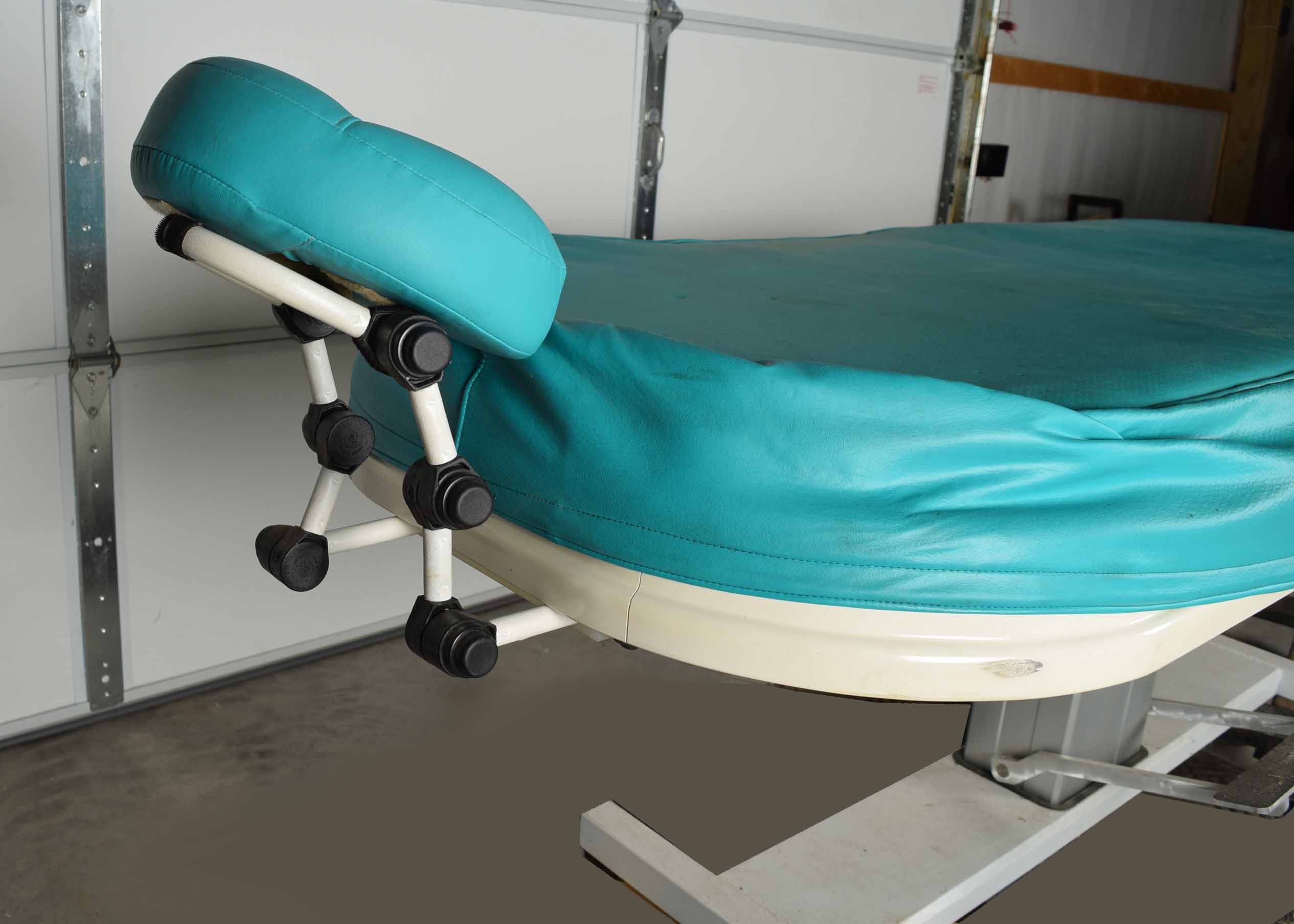 Golden Ratio Woodworks Hydraulic Wet Table With Massage Top EBTH