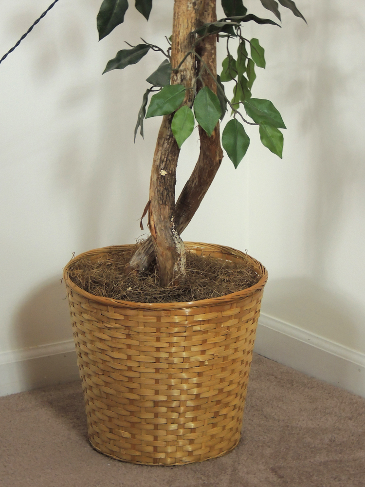 Faux Ficus Tree with White Lights EBTH