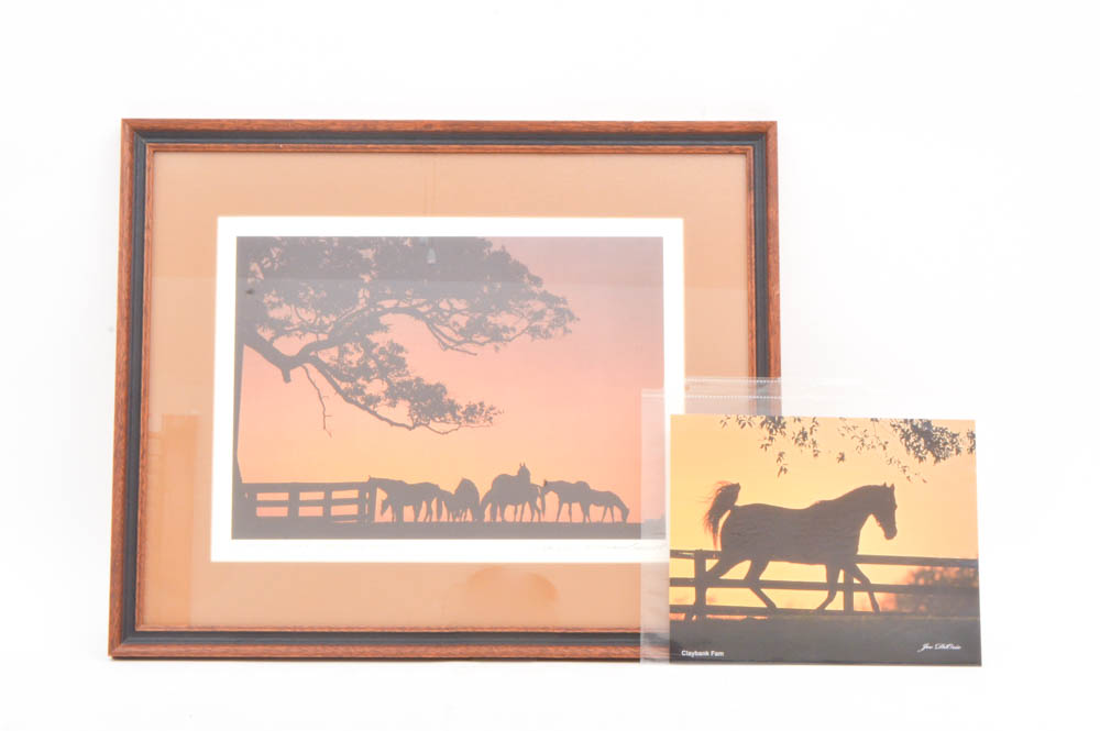 Original James Archambeault Horse Farm Photograph EBTH