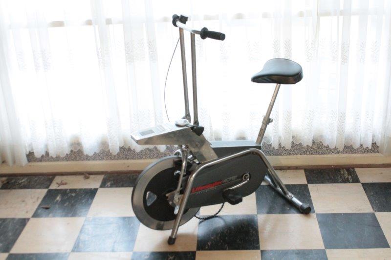 lifestyler exercise bike