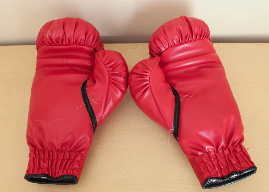 Everlast Boxing Gloves EBTH