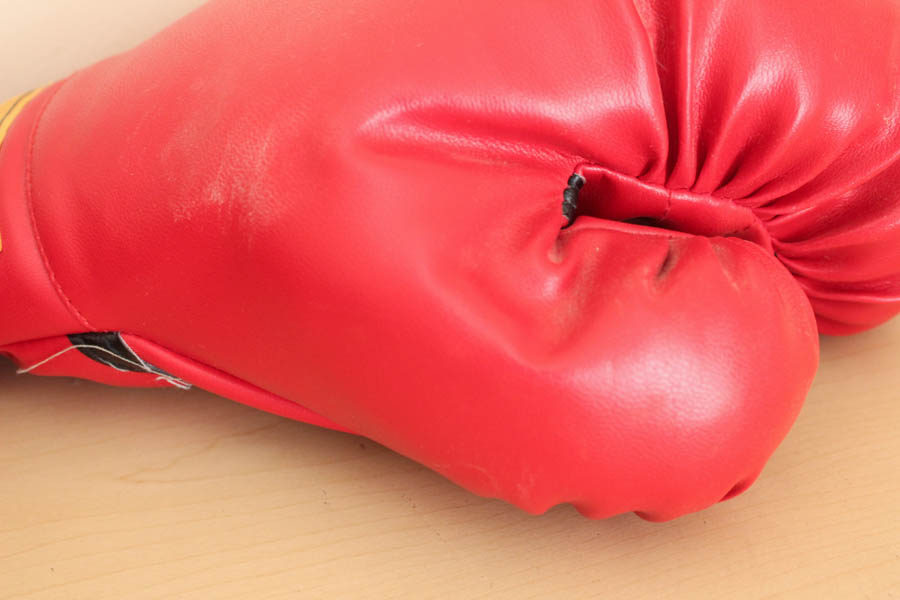 Everlast Boxing Gloves EBTH