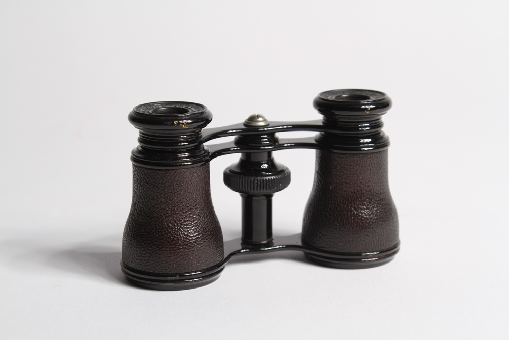 Vintage Opera Glasses in Original Case EBTH