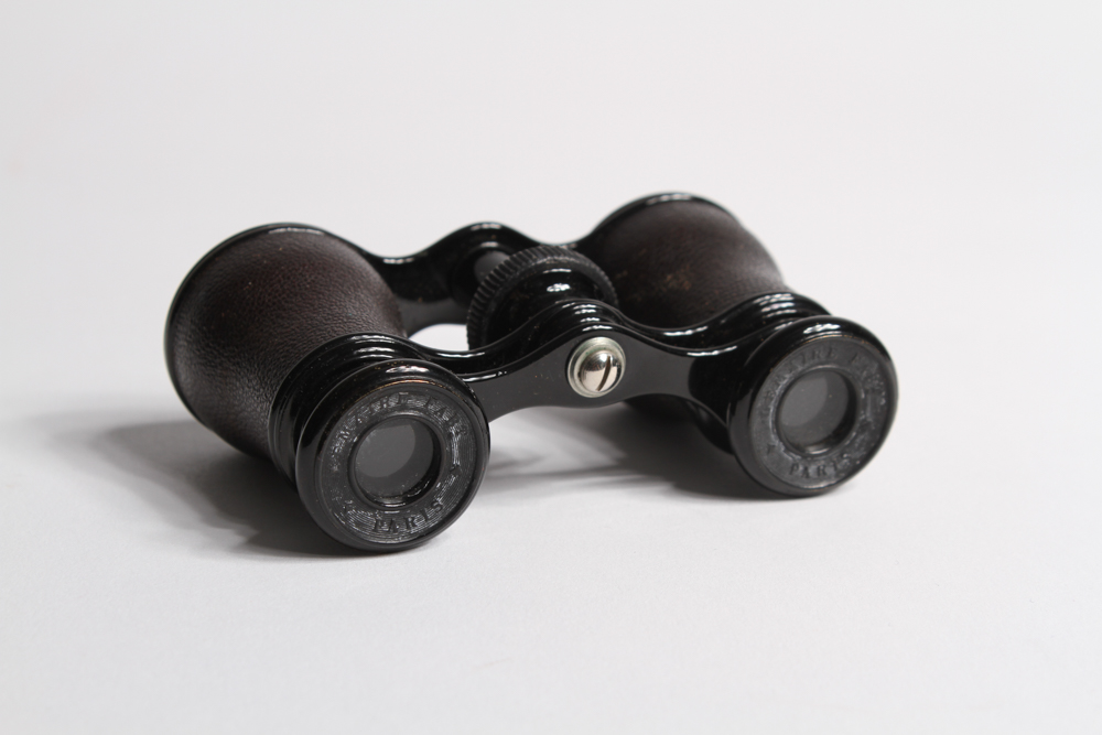 Vintage Opera Glasses in Original Case EBTH