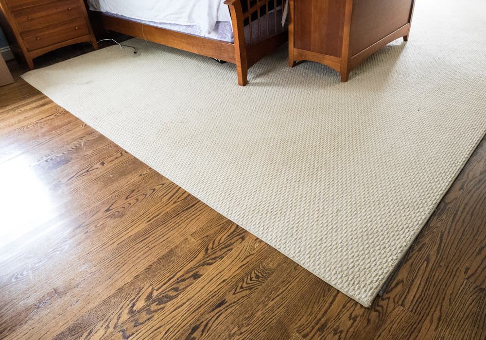 Cream Colored Area Rug | EBTH