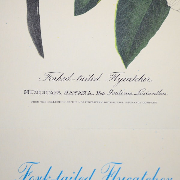  Northwestern  Mutual  Life  Insurance  Offset Audubon Bird 