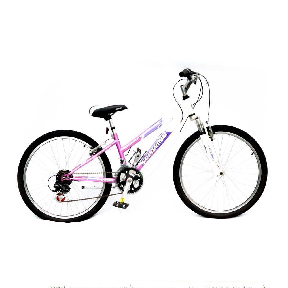 schwinn ranger 2.4 fs purple