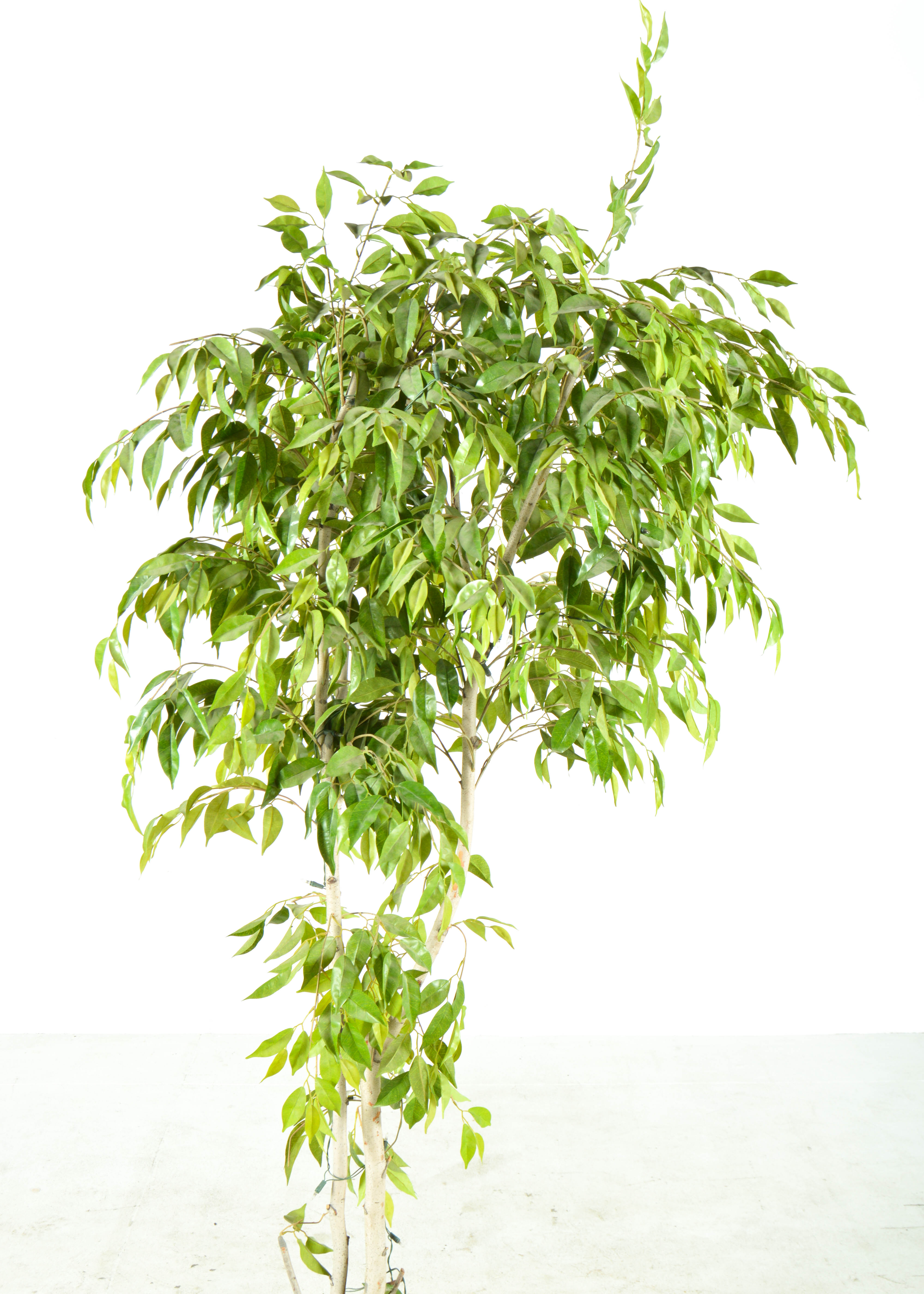 Artificial Ficus Tree EBTH