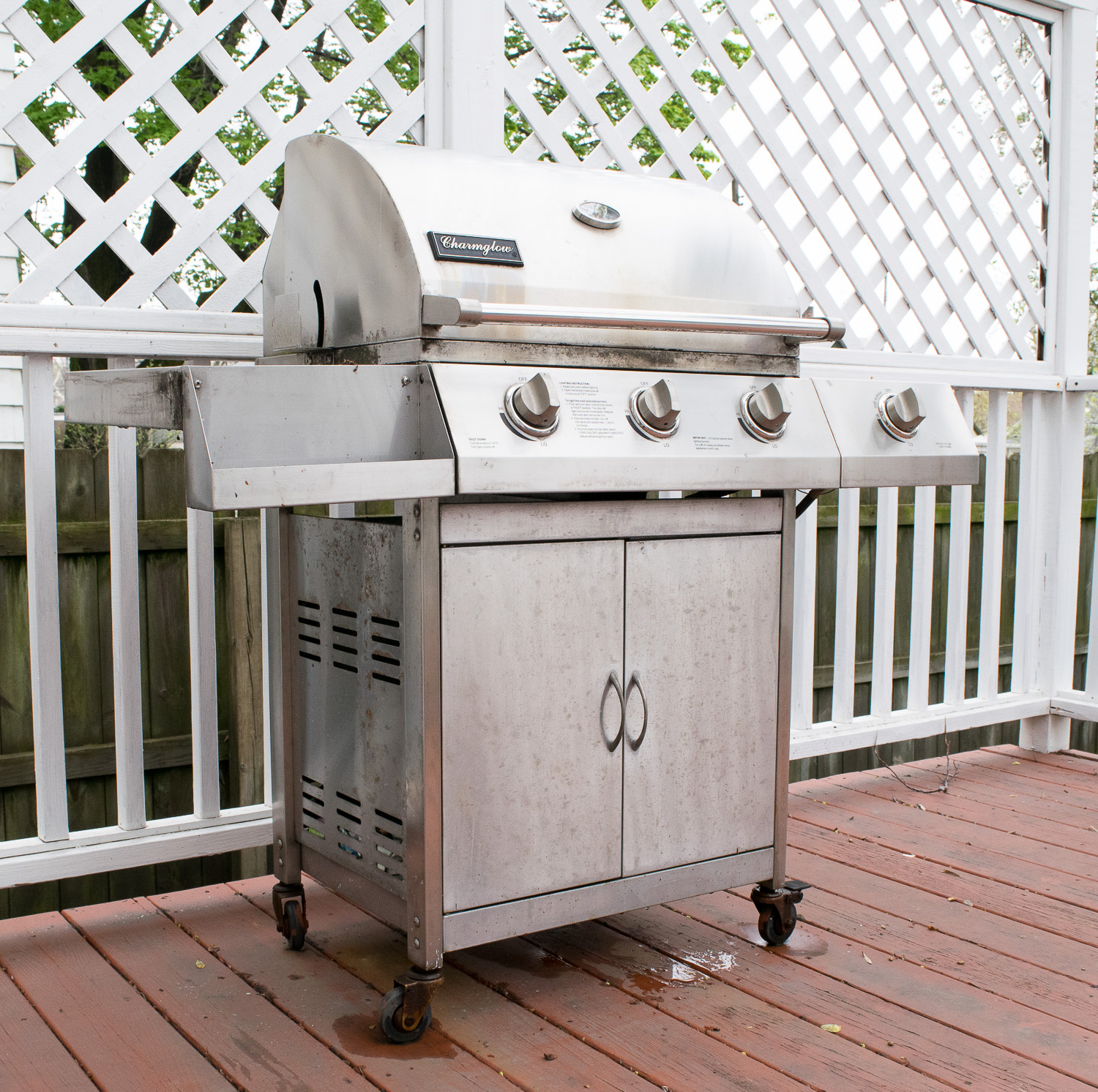 Charmglow Stainless Steel Gas Grill EBTH