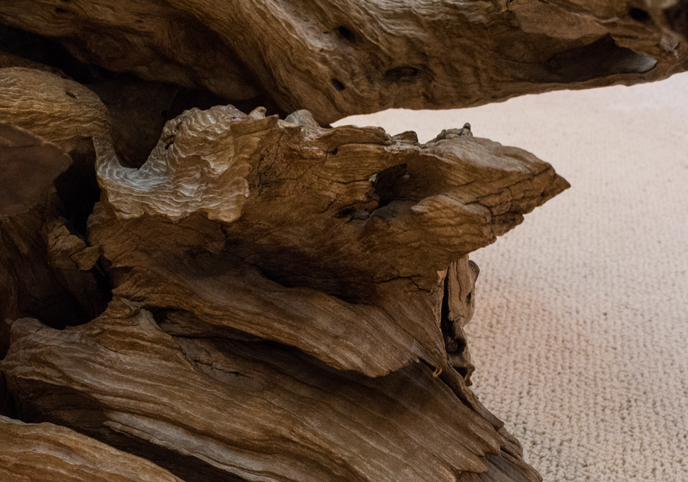 Petrified Wood Glass Top Coffee Table EBTH