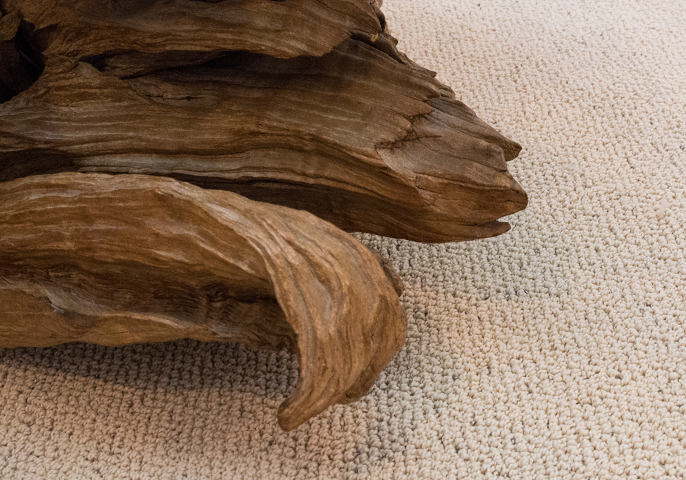 Petrified Wood Glass Top Coffee Table EBTH