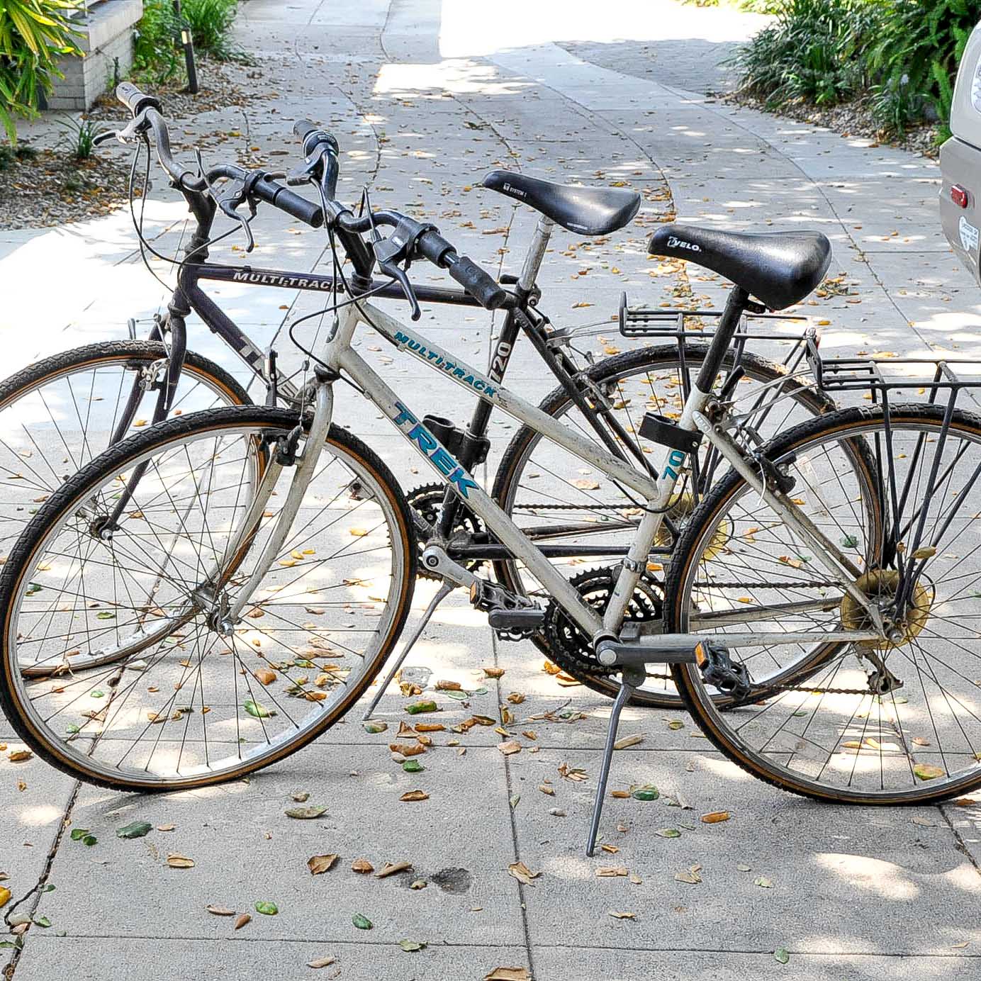 trek calypso cruiser bike