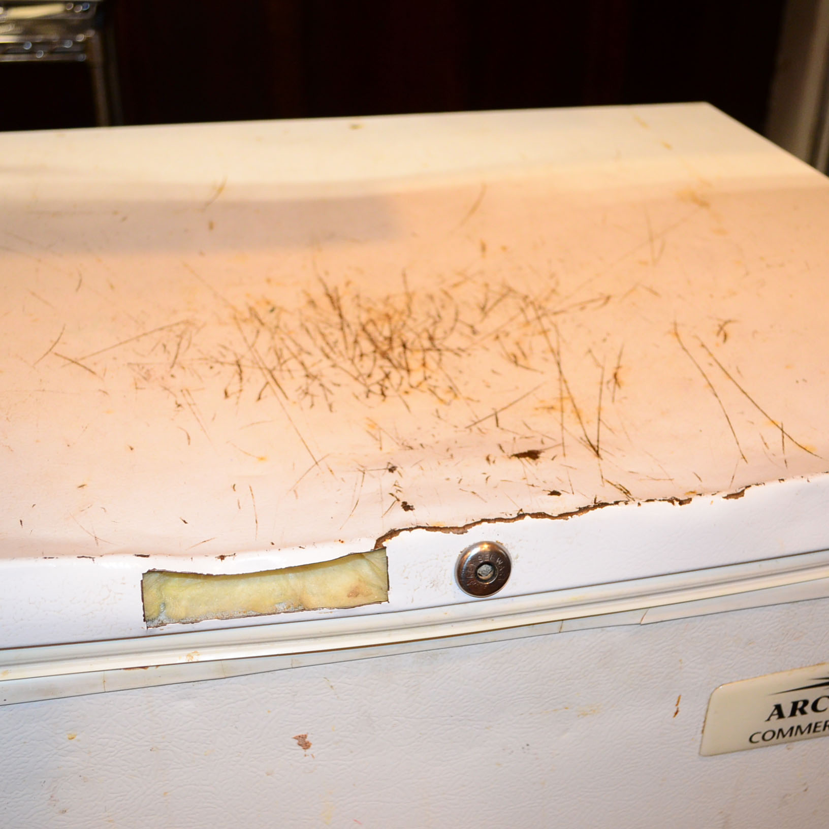 Arctic Air Commercial Chest Freezer EBTH