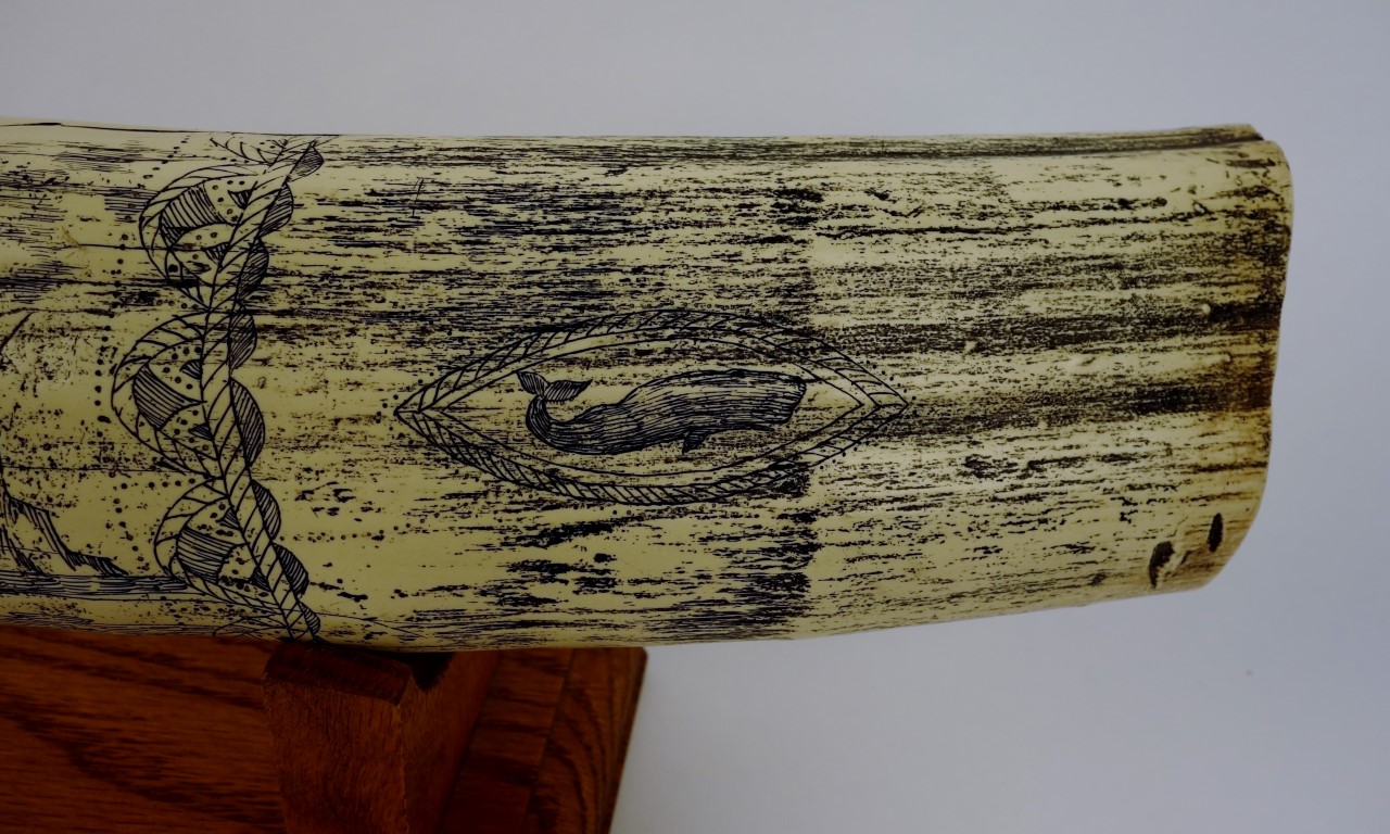 Reproduction Scrimshaw Walrus Tusk | EBTH