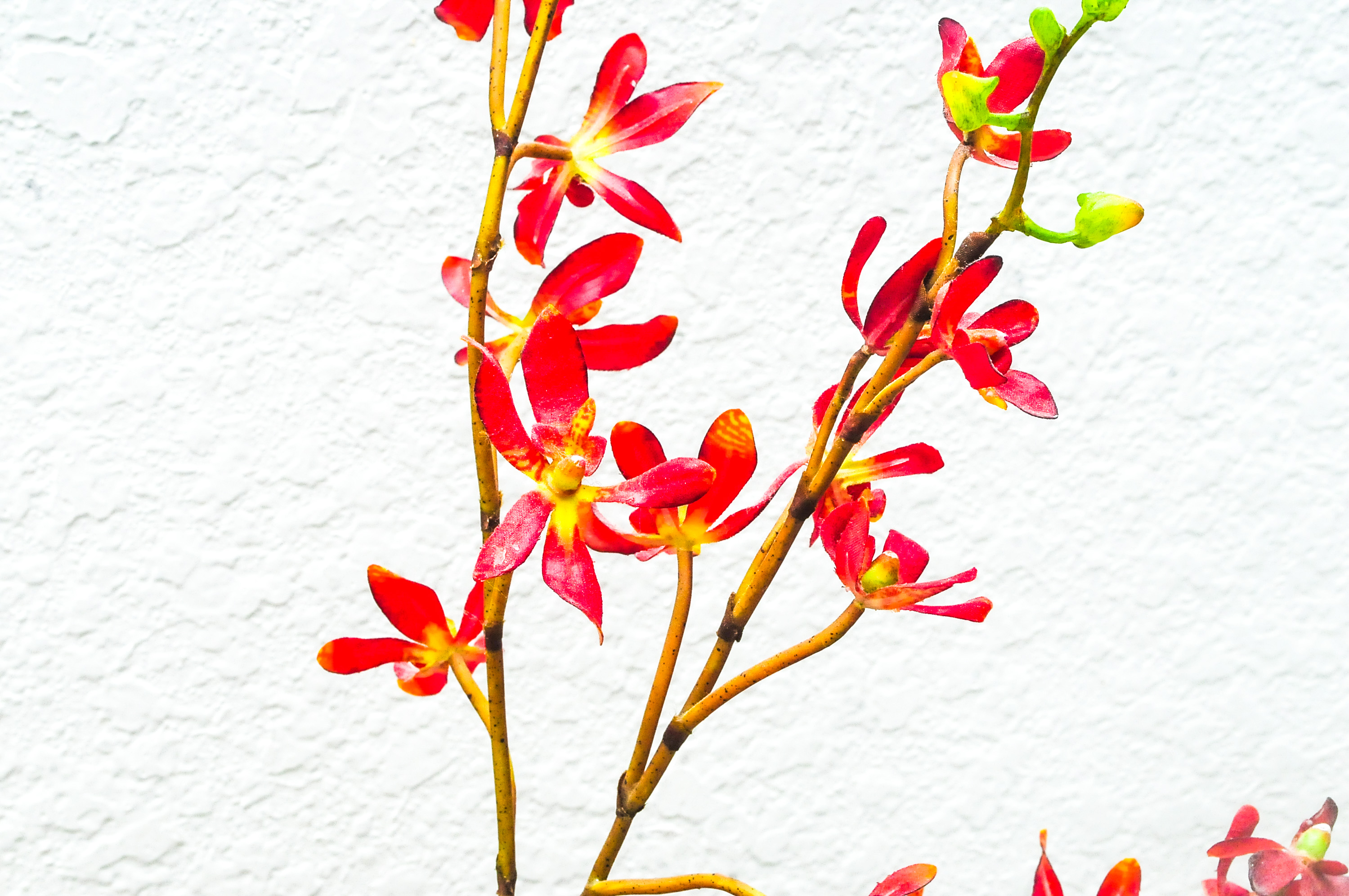 Sweetgrass Designs Silk Orchid Arrangement EBTH