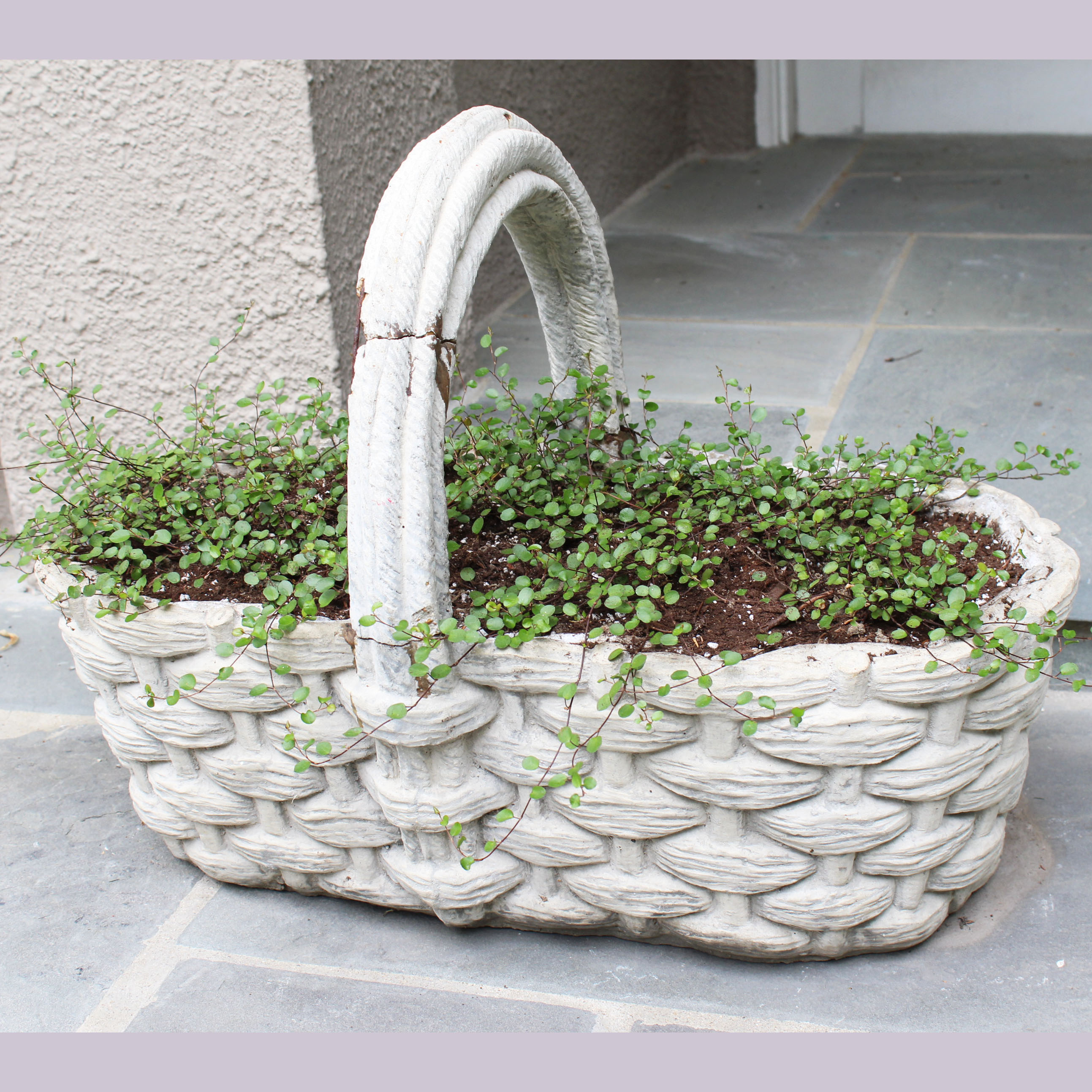 Cement Basket Planter I Ebth