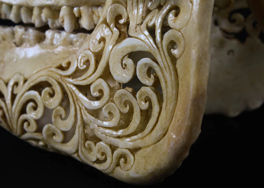 Hand Carved Scroll Work Boar Skull with Tusks | EBTH