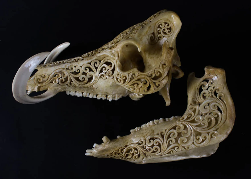Hand Carved Scroll Work Boar Skull with Tusks | EBTH