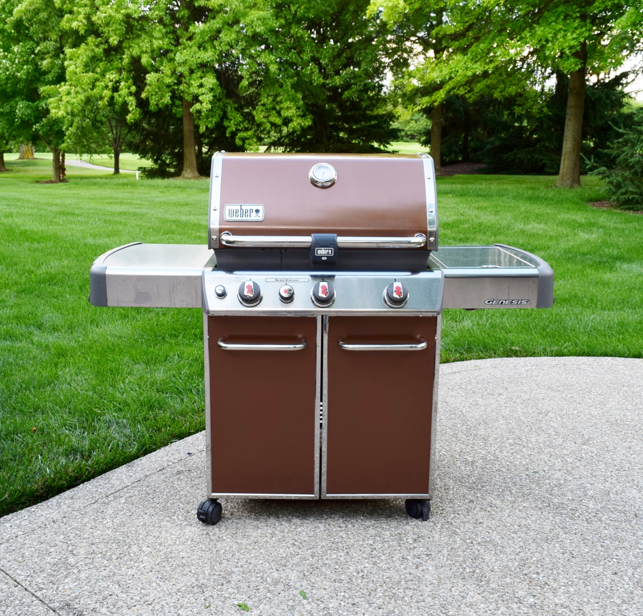 er Genesis ThreeBurner Outdoor Grill with Side Burner EBTH