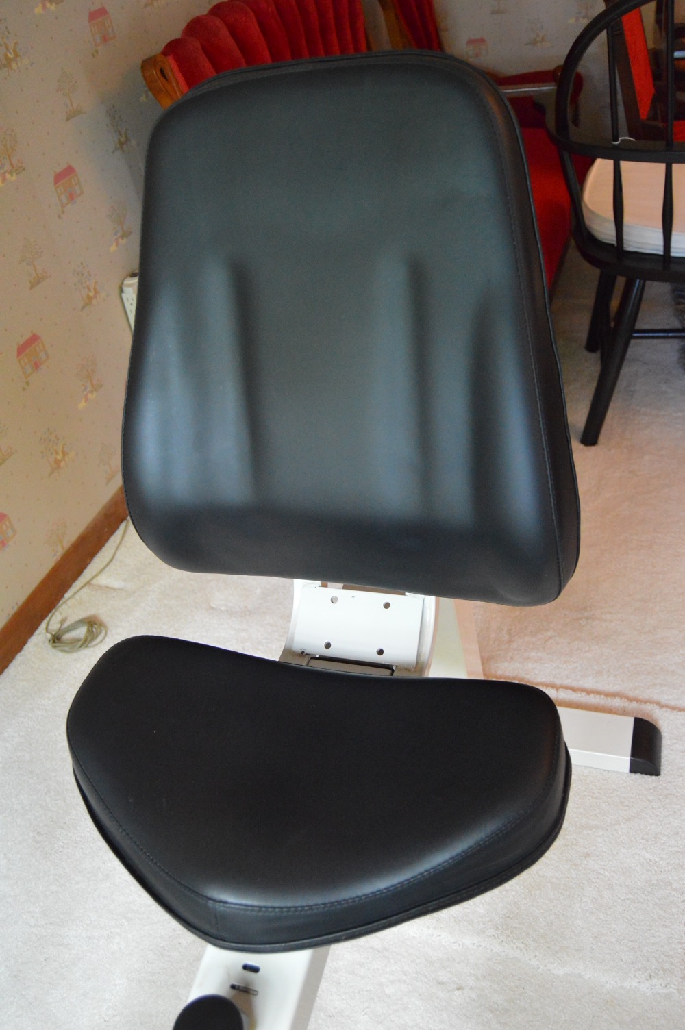 vision fitness r2000 review