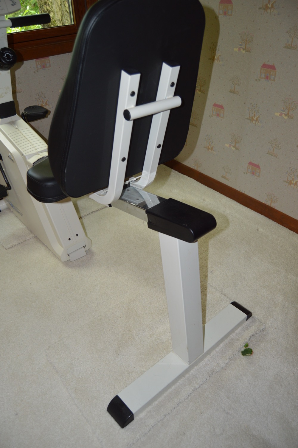 vision fitness bike r2200