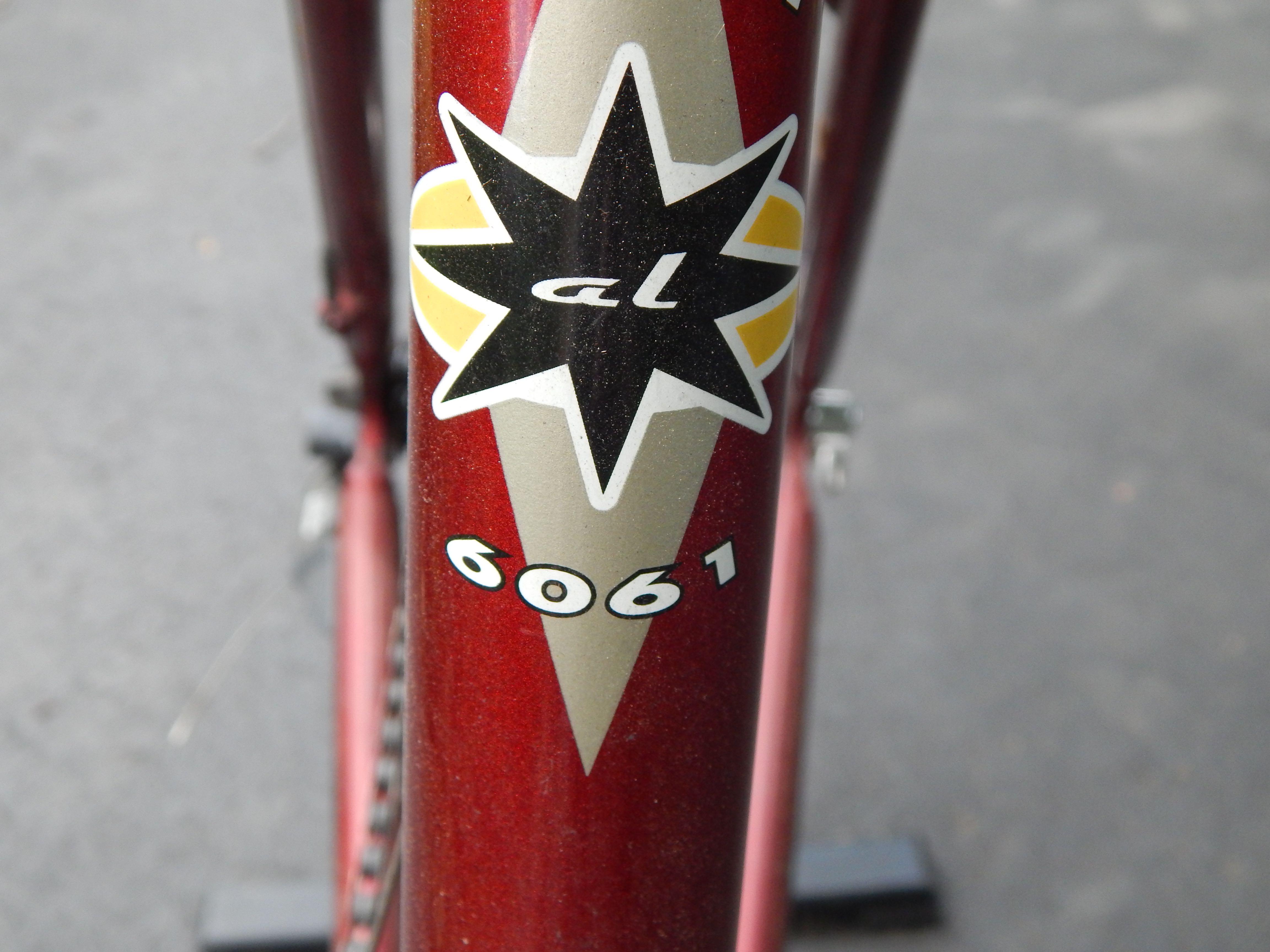 giant eddie bauer mountain bike