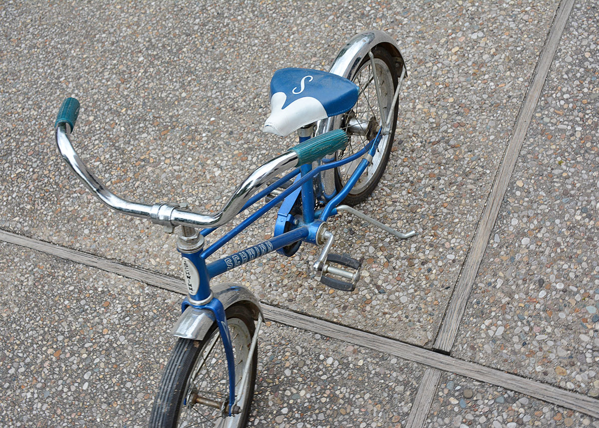 schwinn pixie blue