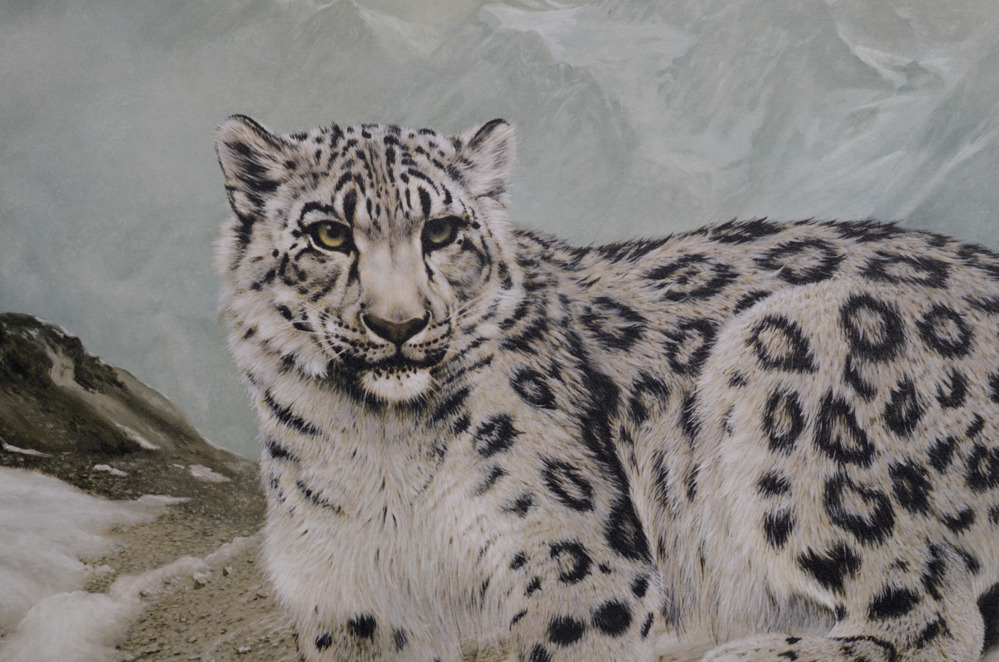 Charles Fracé Signed &ldquo;Snow Leopard&rdquo; Remarqued Offset Lithograph | EBTH