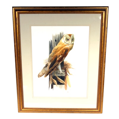 Signed, Original Watercolor of an Owl by Listed Artist Jo Polseno Signed, Original Watercolor of an Owl by Listed Artist Jo Polseno