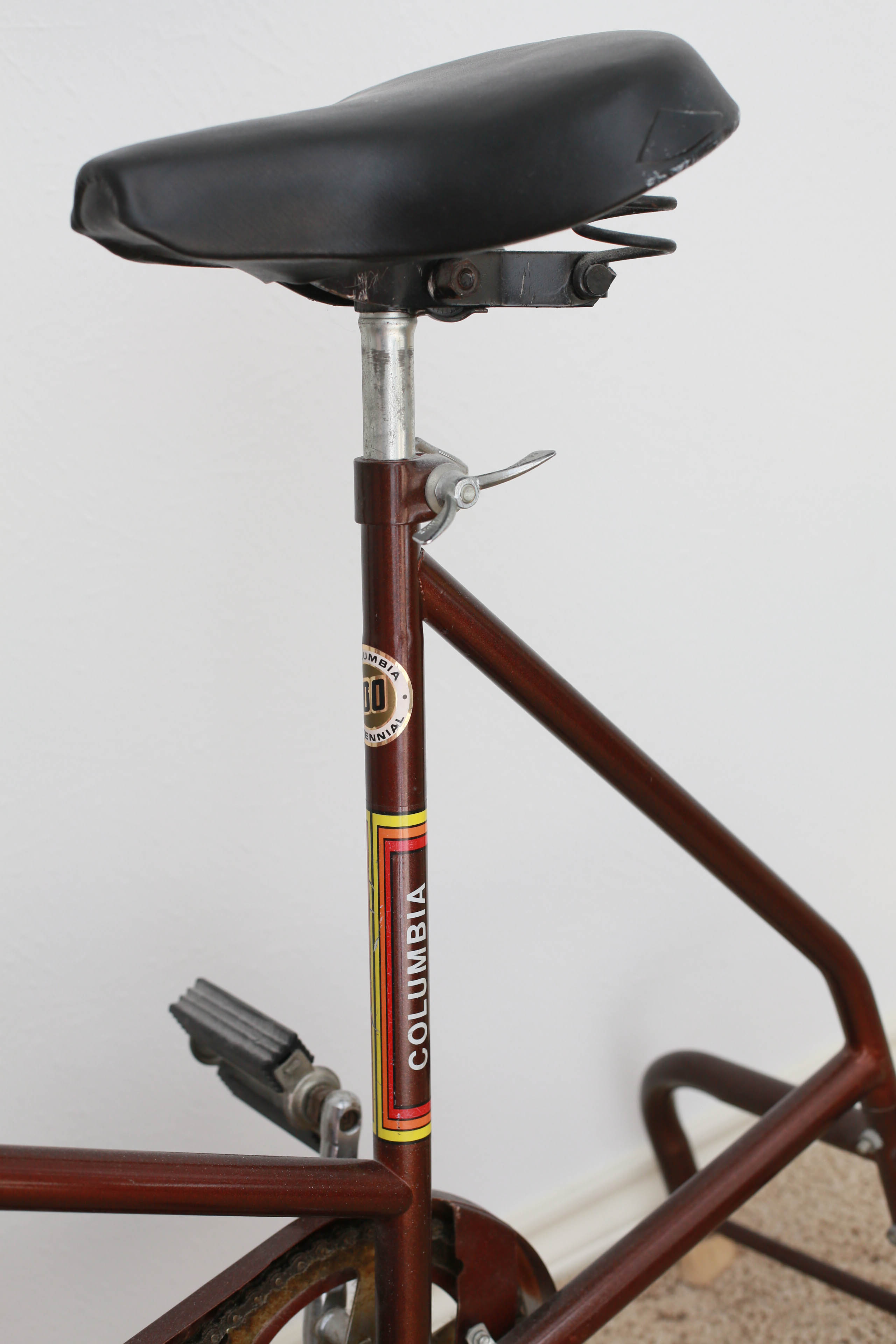 riding bike with ankle weights