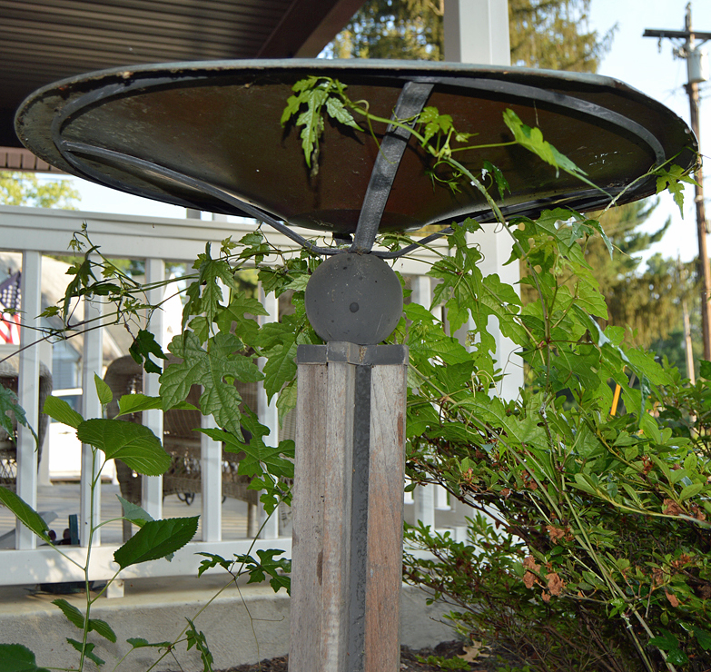 Copper Top Wooden Bird Bath EBTH