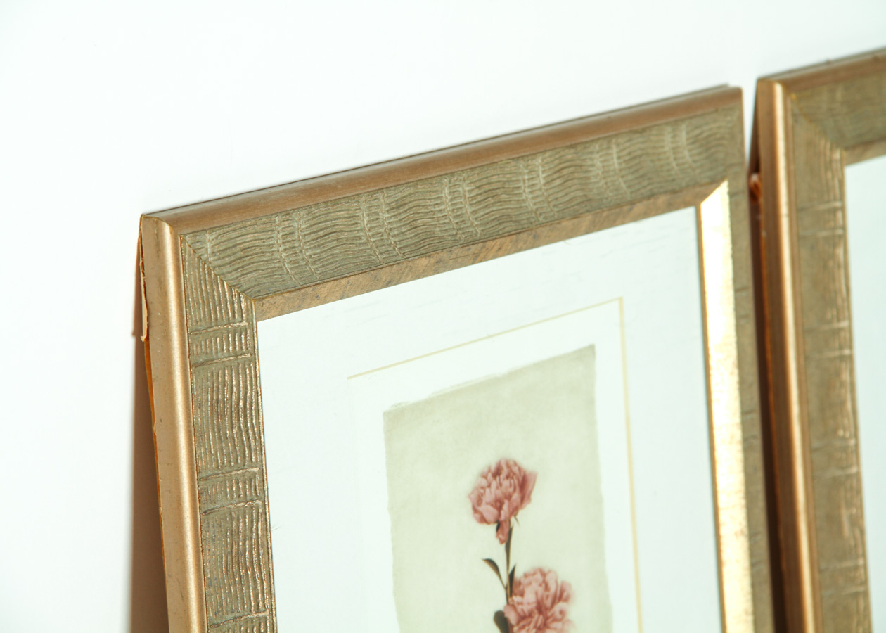 Pair of Framed Floral Art Prints by A. Melion EBTH