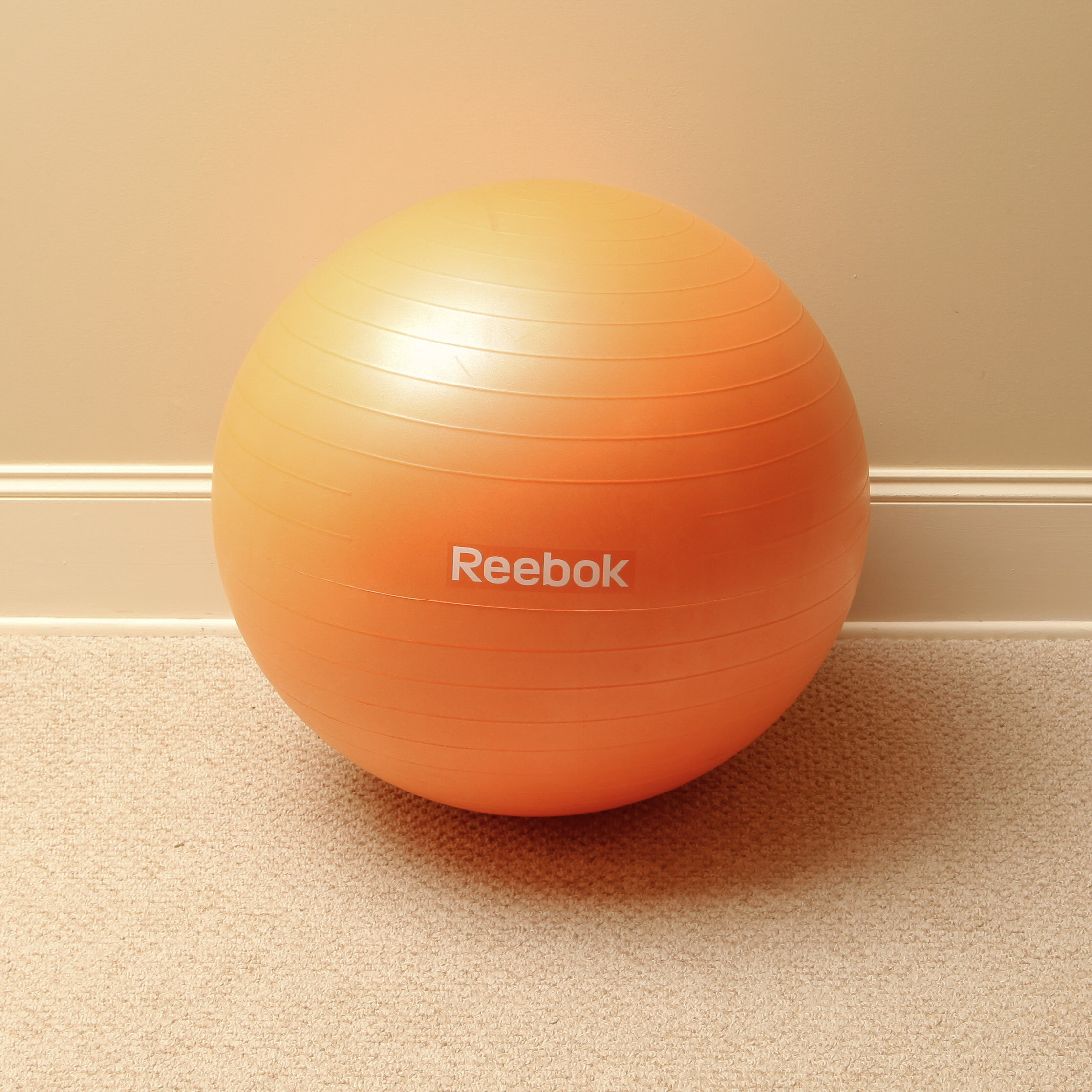 reebok exercise ball with sand