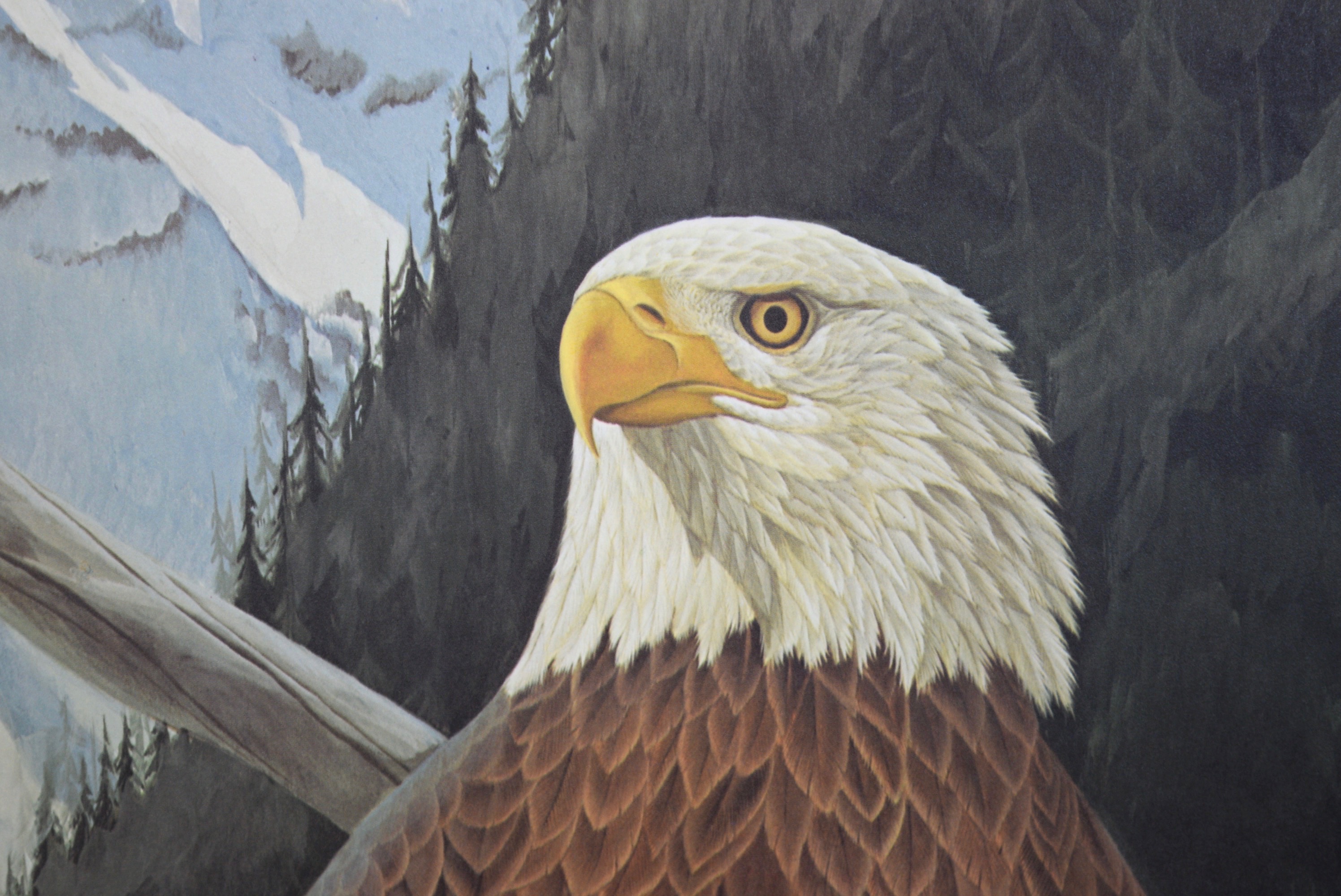 John A. Ruthven 'American Bald Eagle' Limited Edition Signed Lithograph