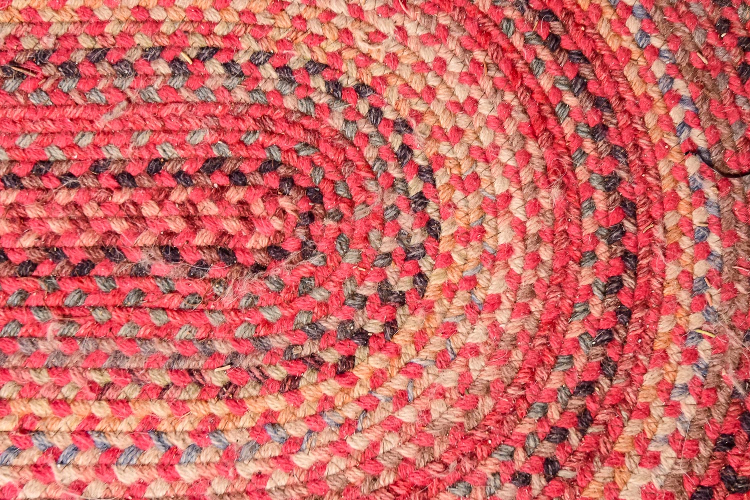 Braided Area Rug EBTH