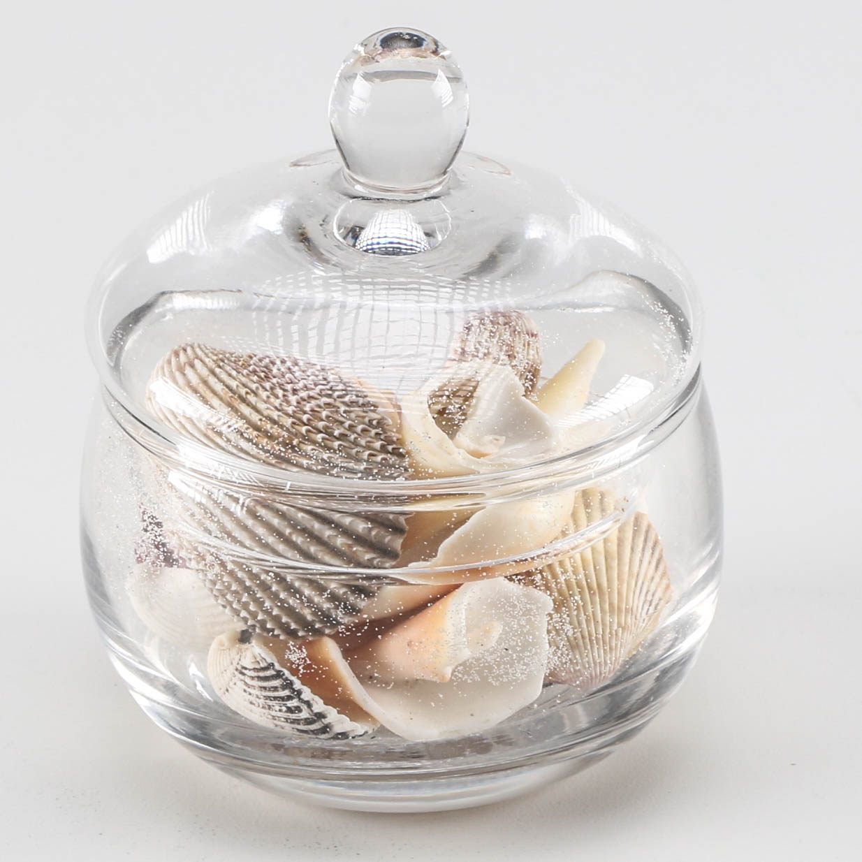 Collection of Seashells in a Glass Jar | EBTH