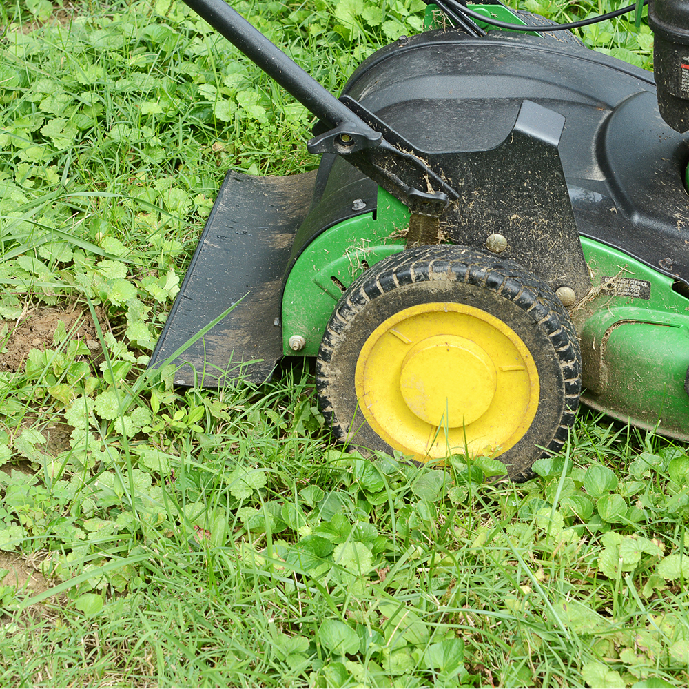John Deere Model JS40 SelfPropelled Lawn Mower EBTH