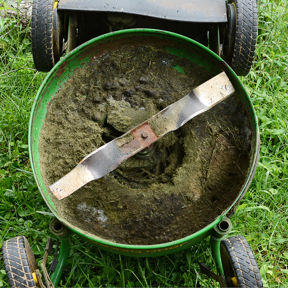 John Deere Model JS40 SelfPropelled Lawn Mower EBTH