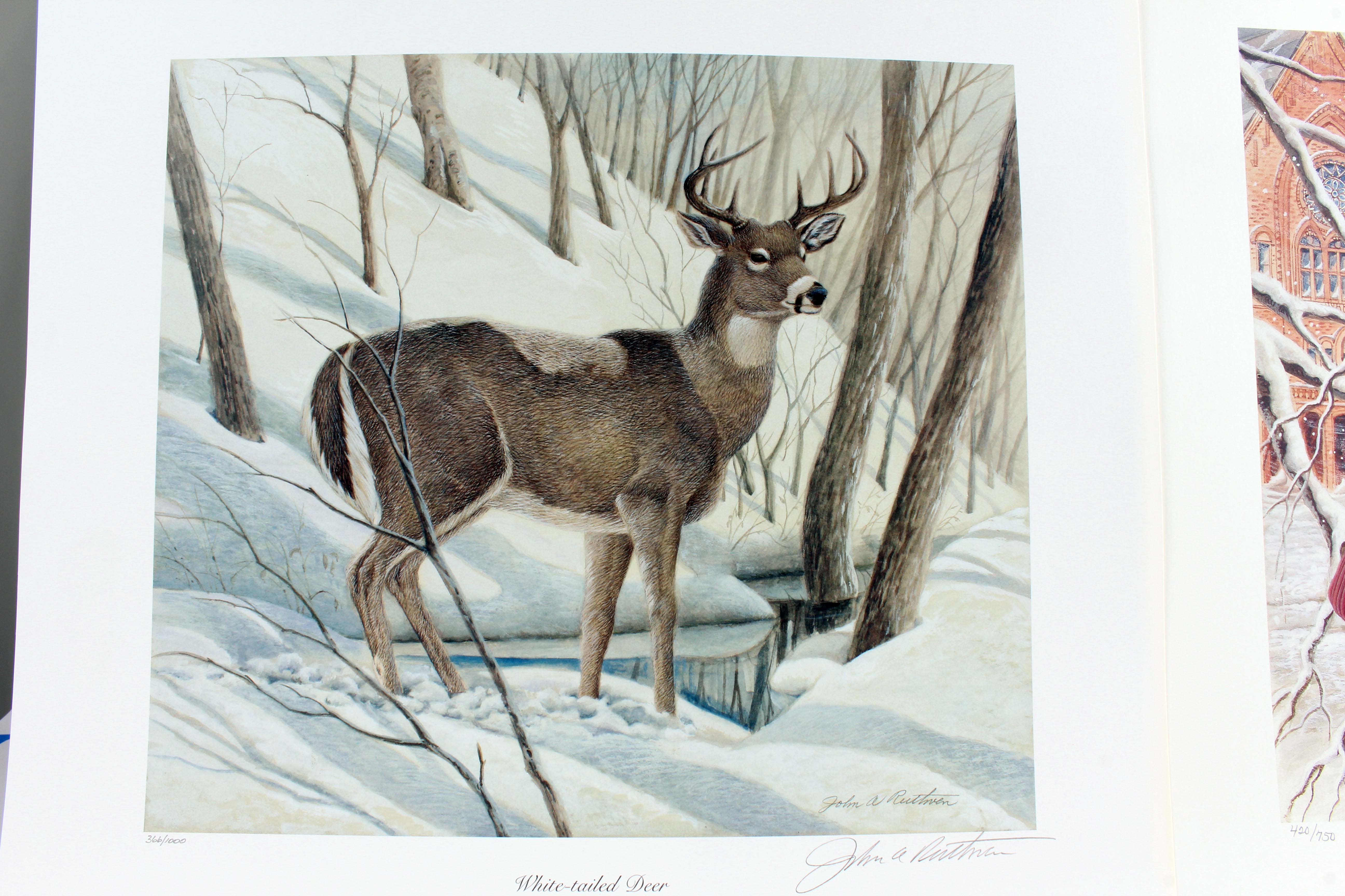 Pair of Unframed limited Edition John Ruthven Signed Prints EBTH