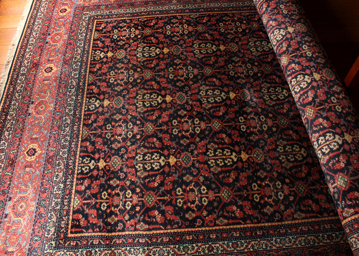 "Carter's Grove" Area Rug from the Williamsburg Collection by Karastan