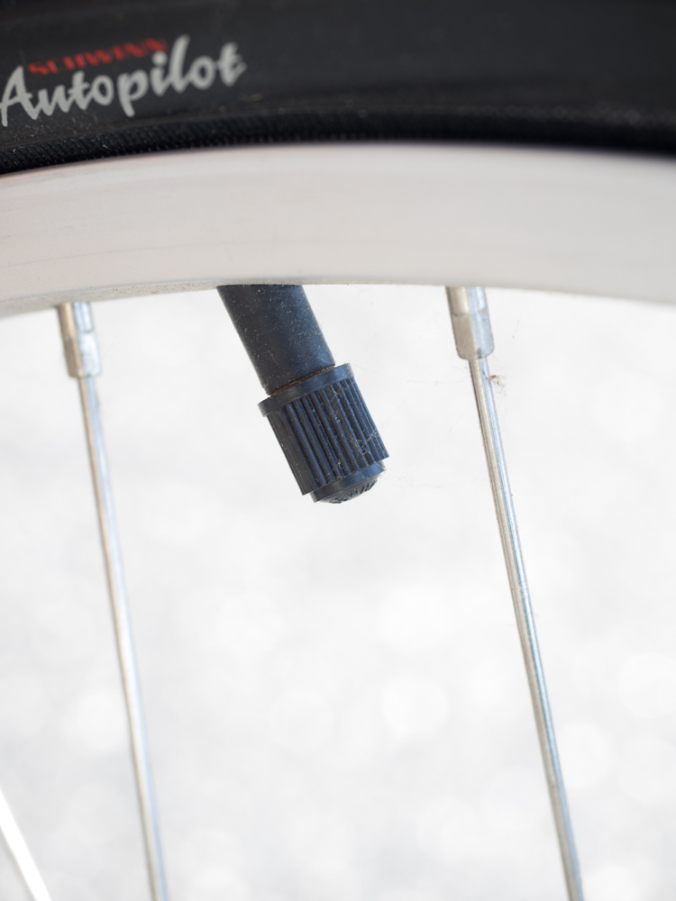 ll bean schwinn bicycles