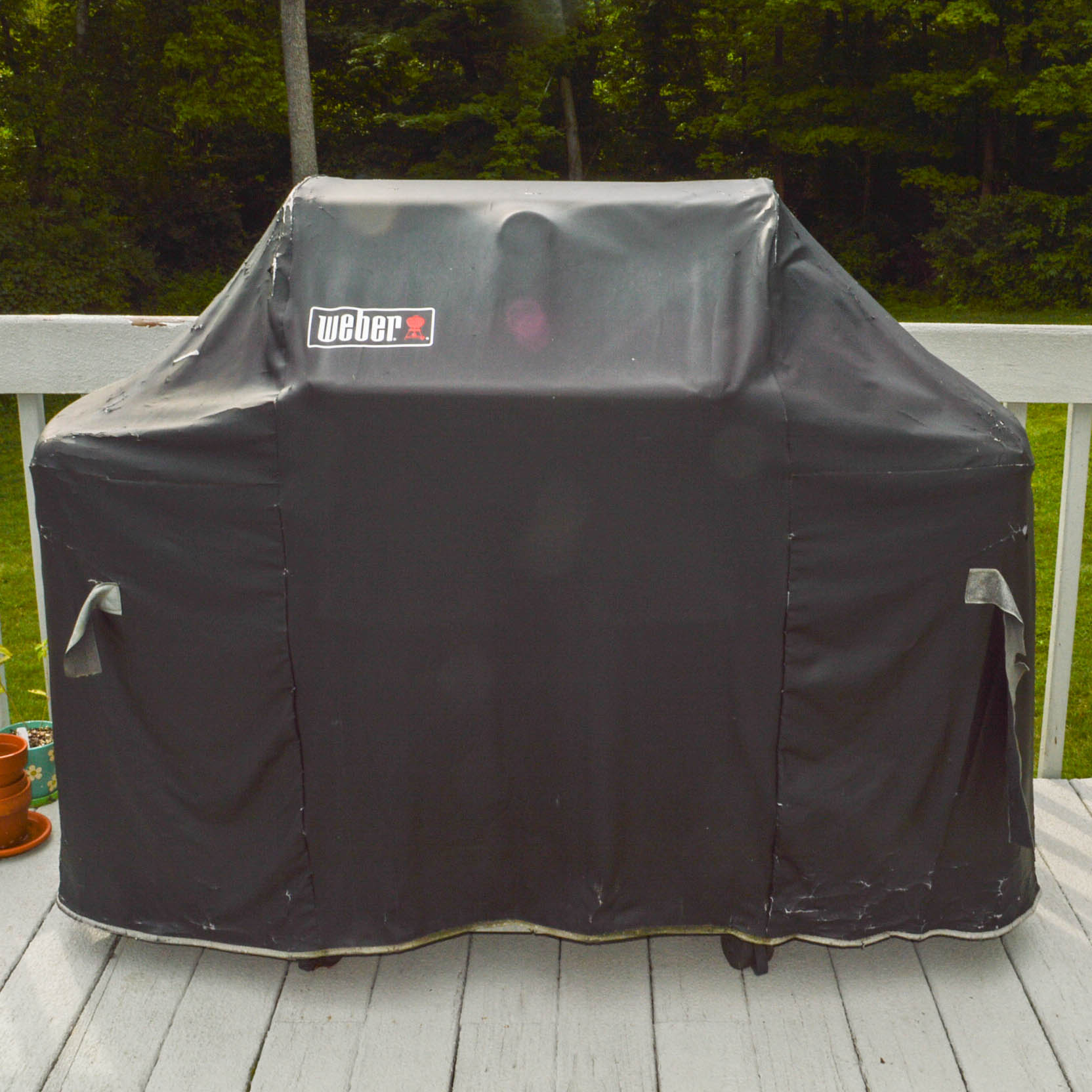 Weber Genesis Special Edition Outdoor Grill EBTH