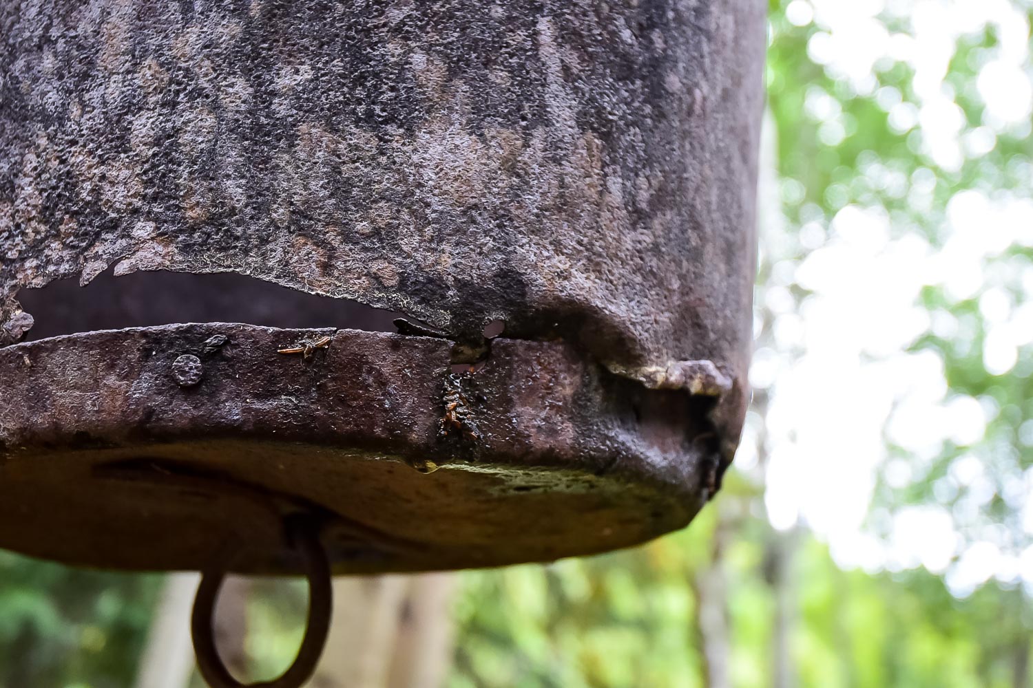 Antique Ore Bucket EBTH