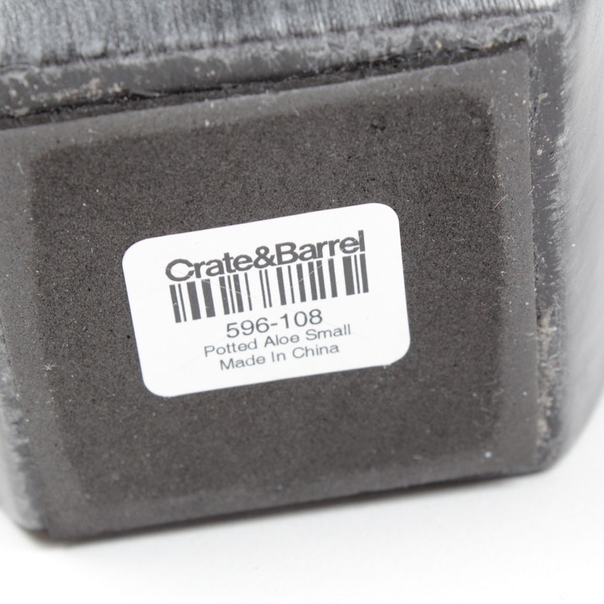 Set of Six Crate & Barrel Plants EBTH Set of Six Crate & Barrel Plants EBTH